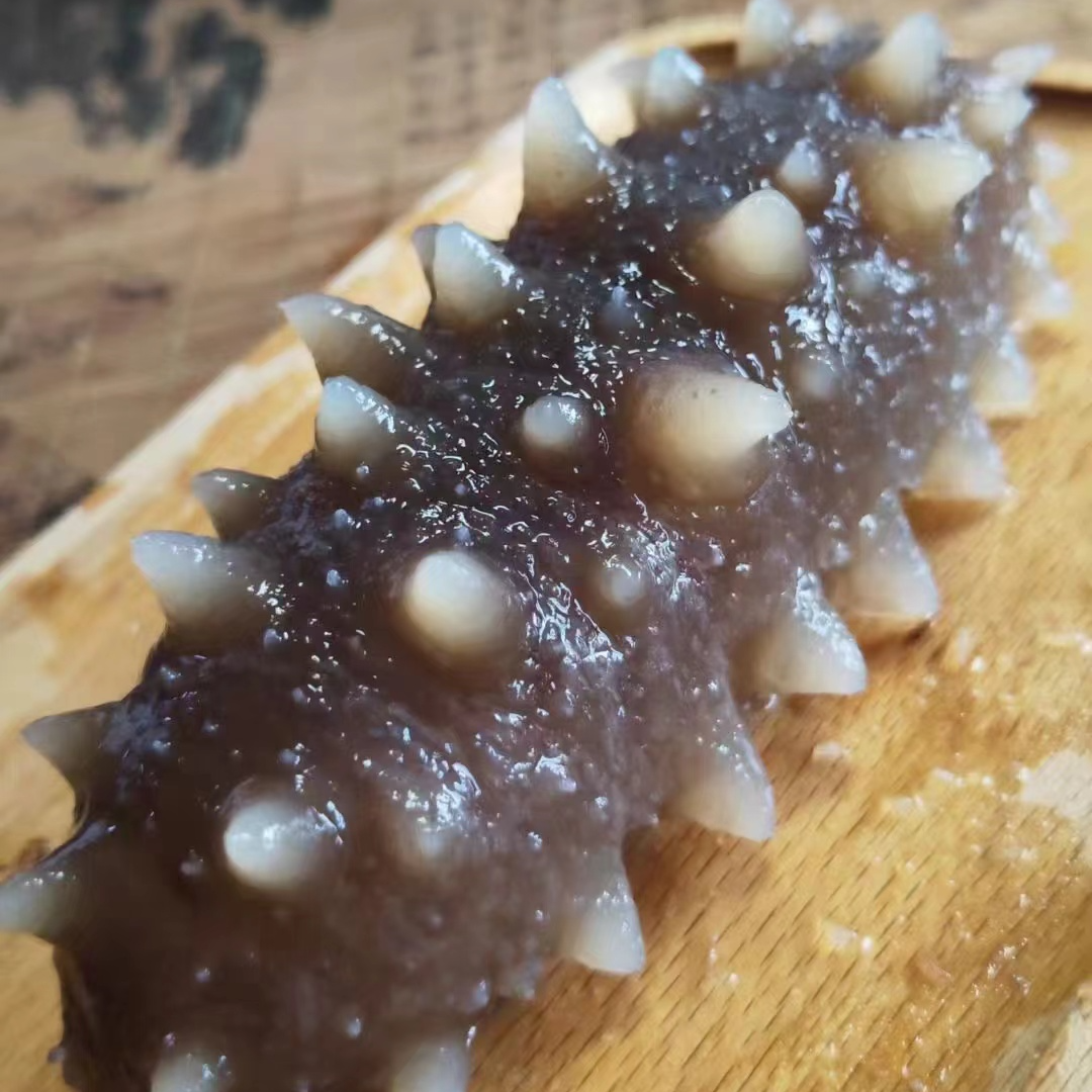 代泡发 海参  转用链接