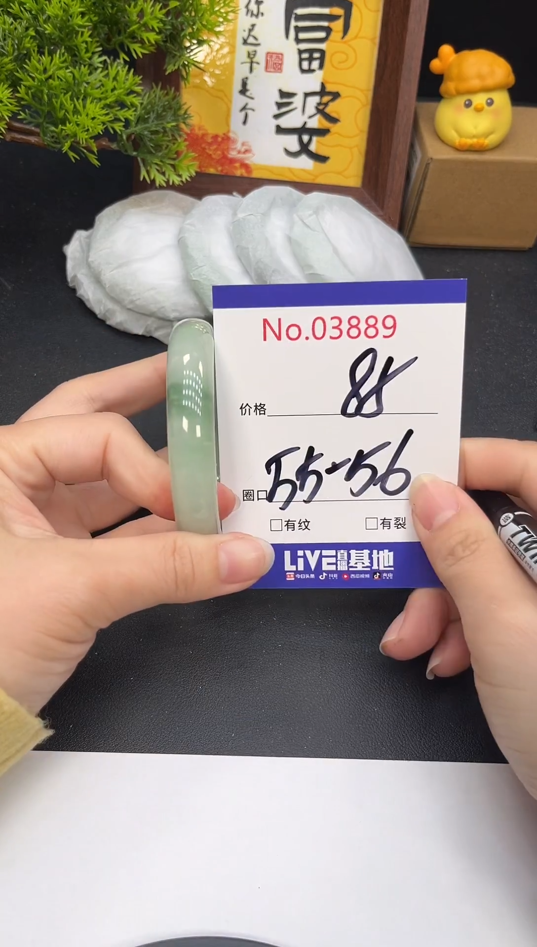 未镶嵌手镯翡翠3889