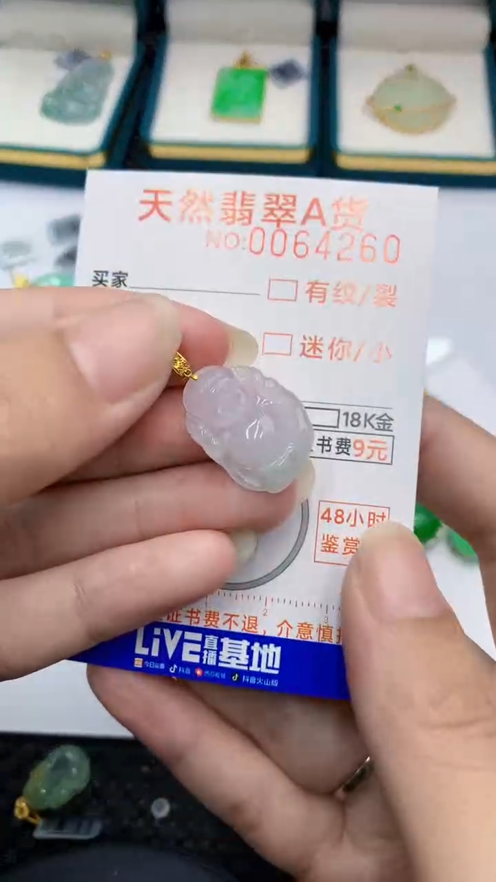 【闪购商品】翡翠颈饰18K金镶嵌            8