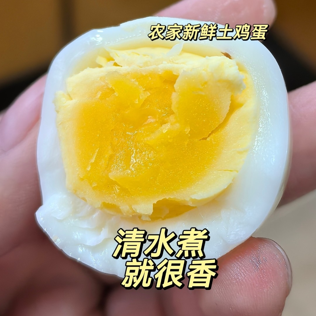 【京东次日达】洪泽湖生态农家土鸡蛋笨鸡蛋天然养殖现捡纯粮喂养孕妇儿童月子鸡蛋坏包赔40枚