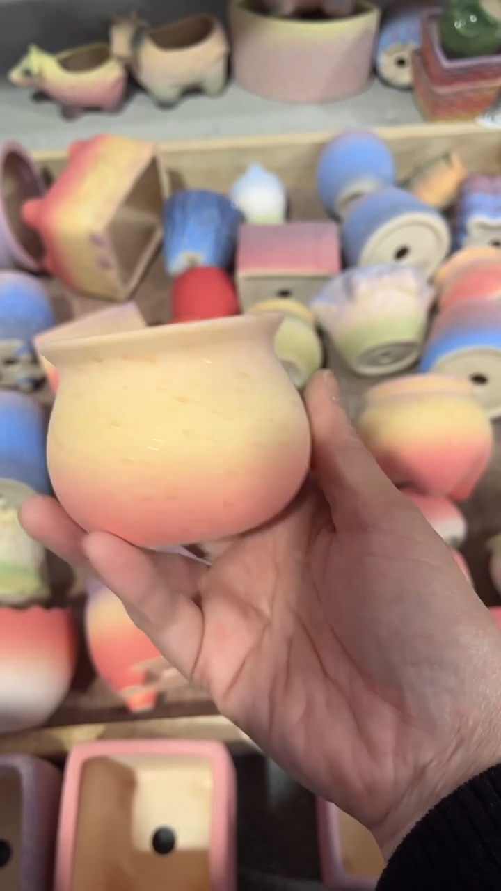 【闪购商品】陶内口  6 内高6