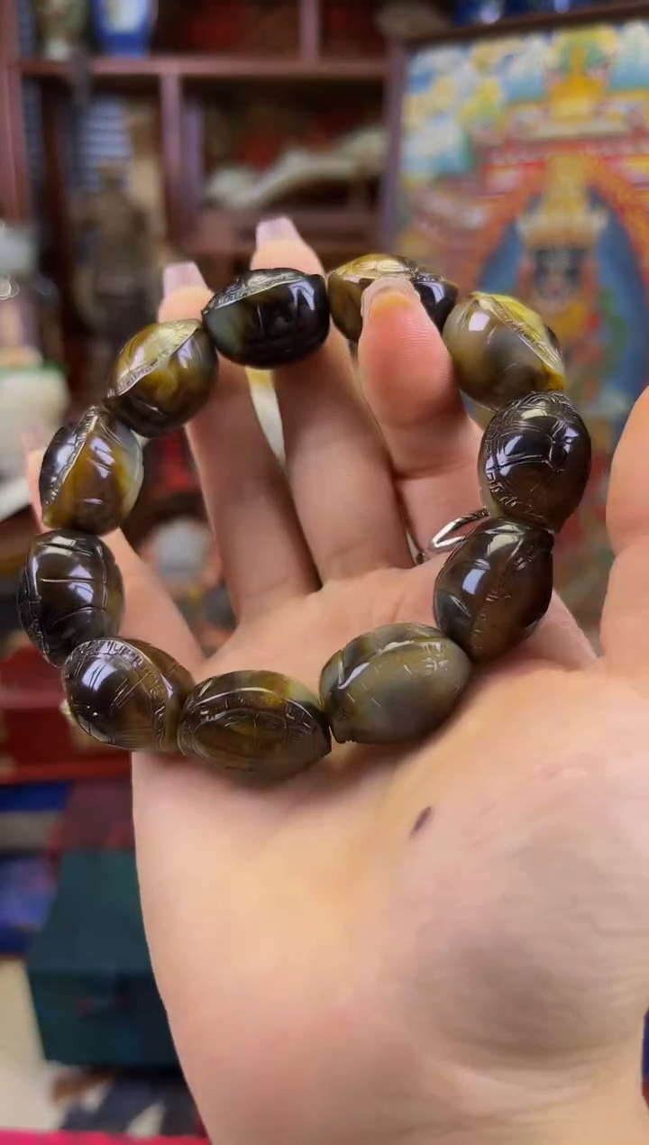 善玉源世家专属链接