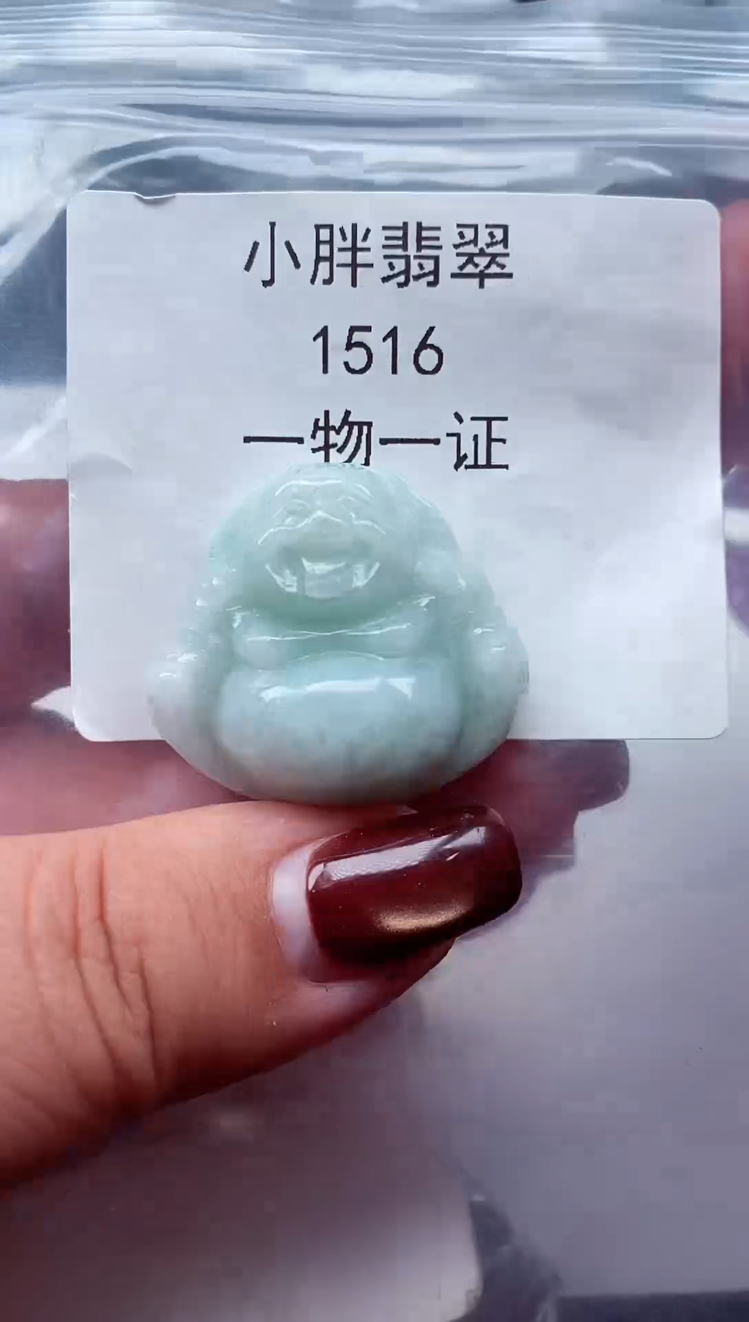 颈饰未镶嵌翡翠缅甸天然A货翡翠1516