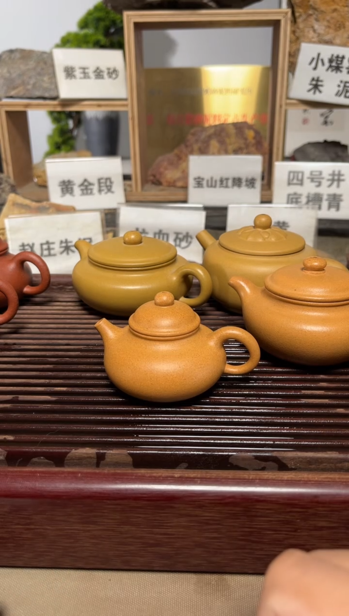 茶壶紫砂黄金段小容天
