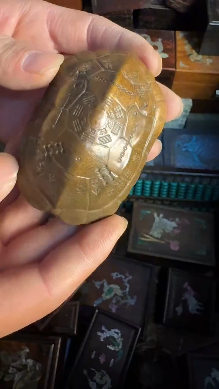 木 闪购商品链接78号【龟壳】