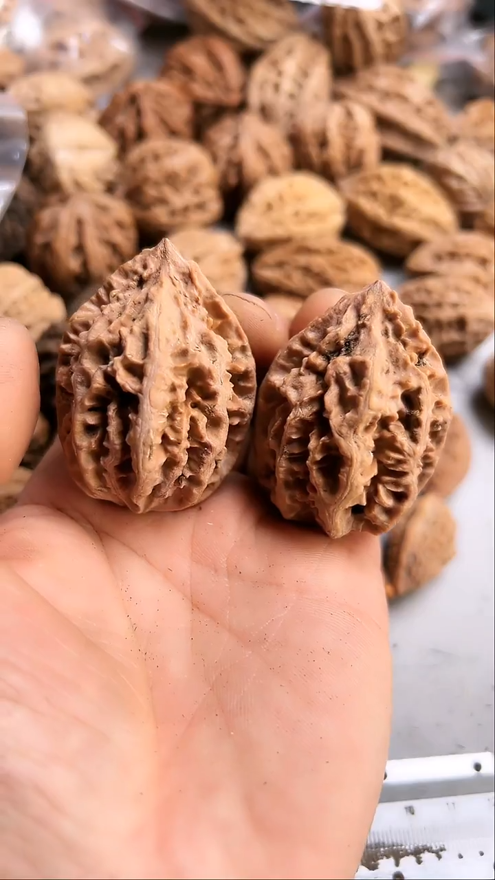 核桃东北野生大秋子2