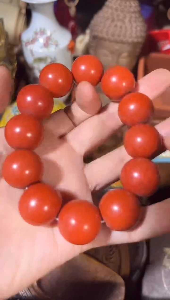 黄杨木11111111111111111