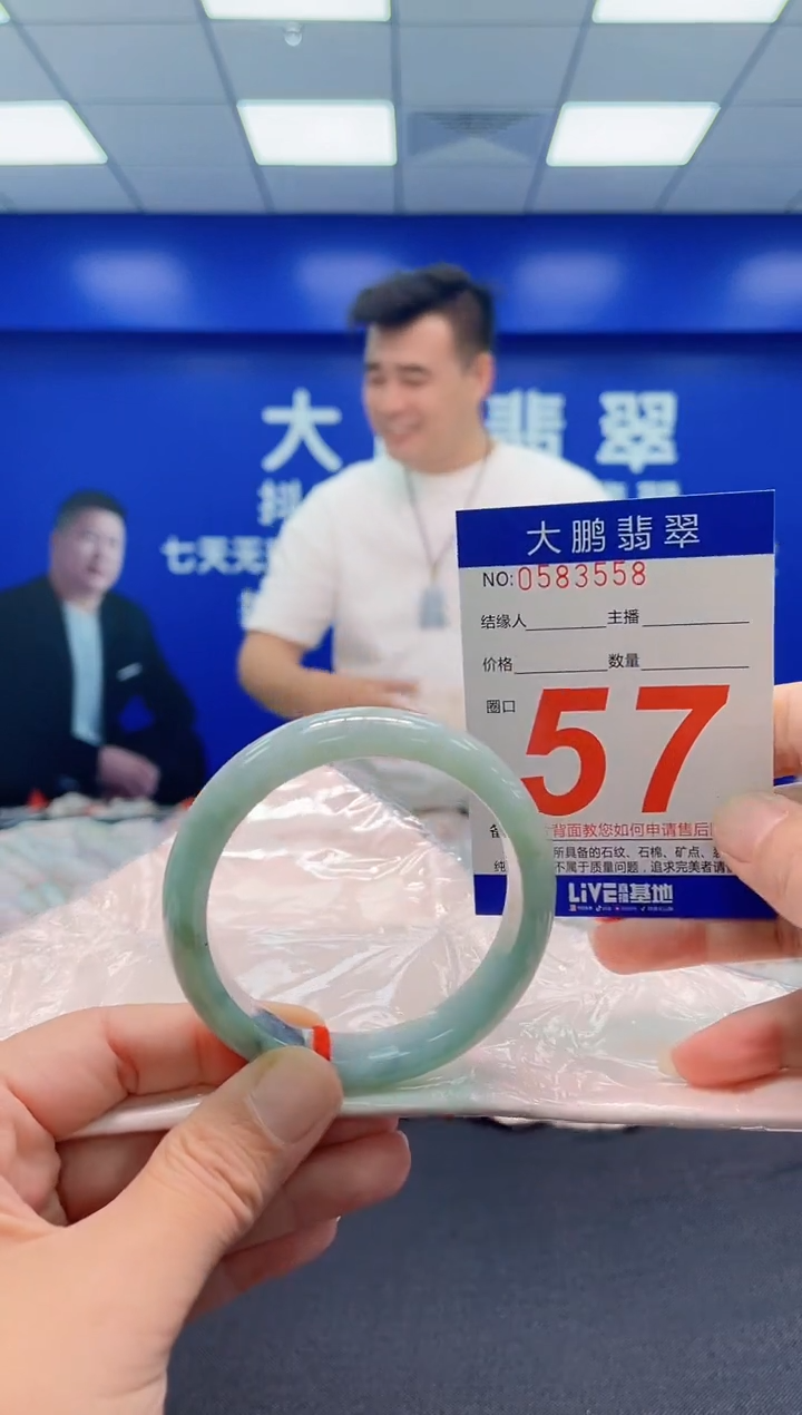 未镶嵌手镯翡翠AAAAAAAAA
