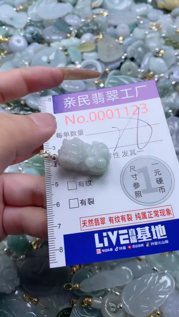翡翠未镶嵌吊坠(不含链)1123