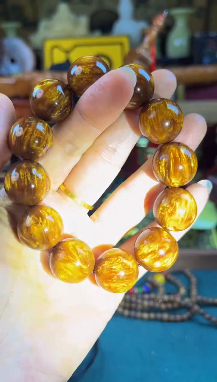 摆件贝壳————————————————