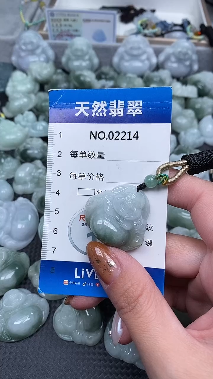 颈饰未镶嵌翡翠纯天然A货翡翠2214