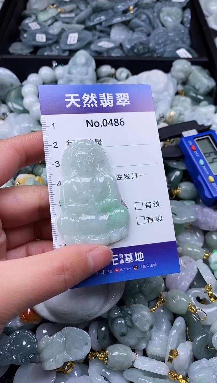 【闪购商品】翡翠颈饰未镶嵌缅甸A货翡翠0486