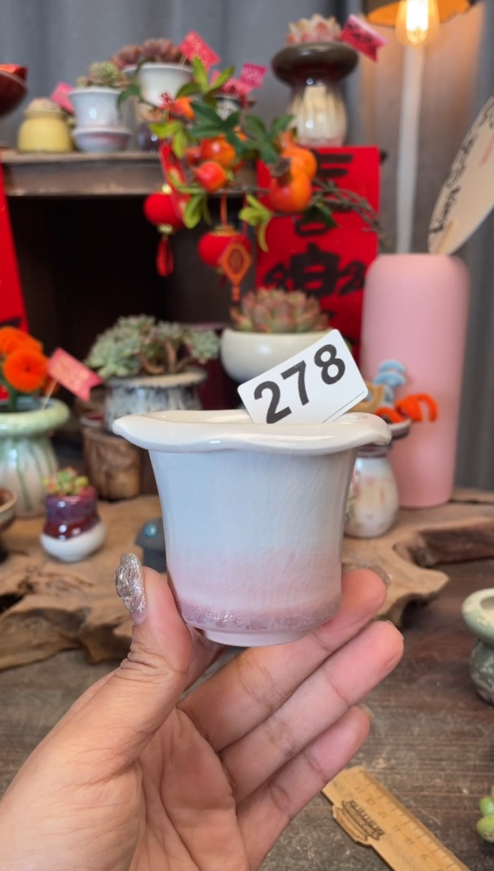 【闪购商品】摆件278知木小芳花盆