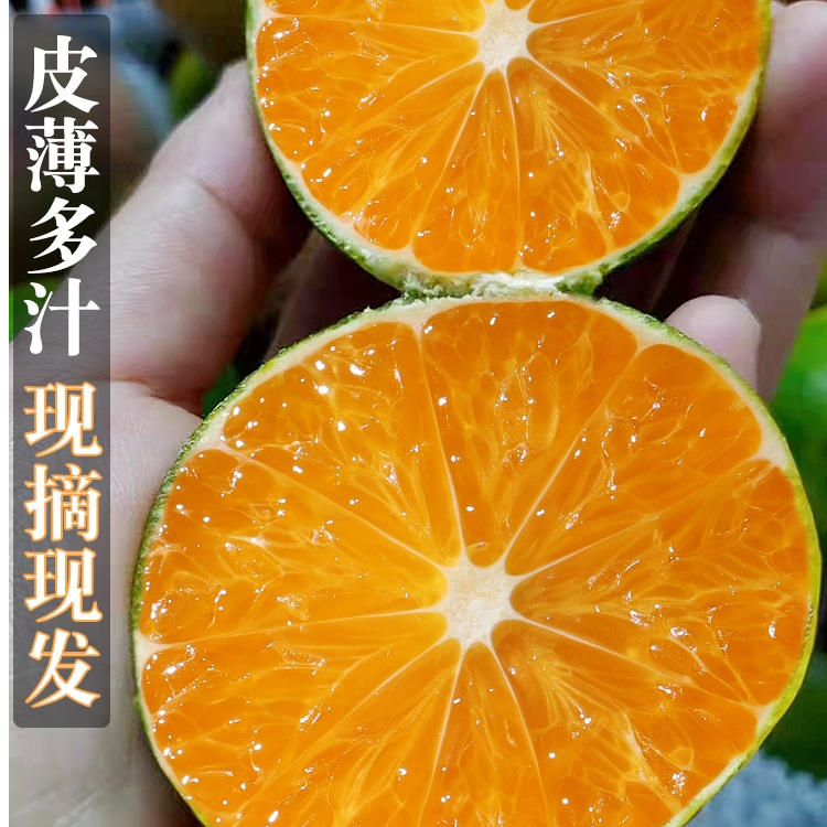 【无核蜜桔】新鲜蜜桔现摘重庆青皮无籽柑橘子酸甜孕妇当季水果整箱