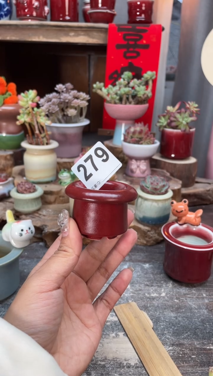 【闪购商品】摆件279知木小芳花盆