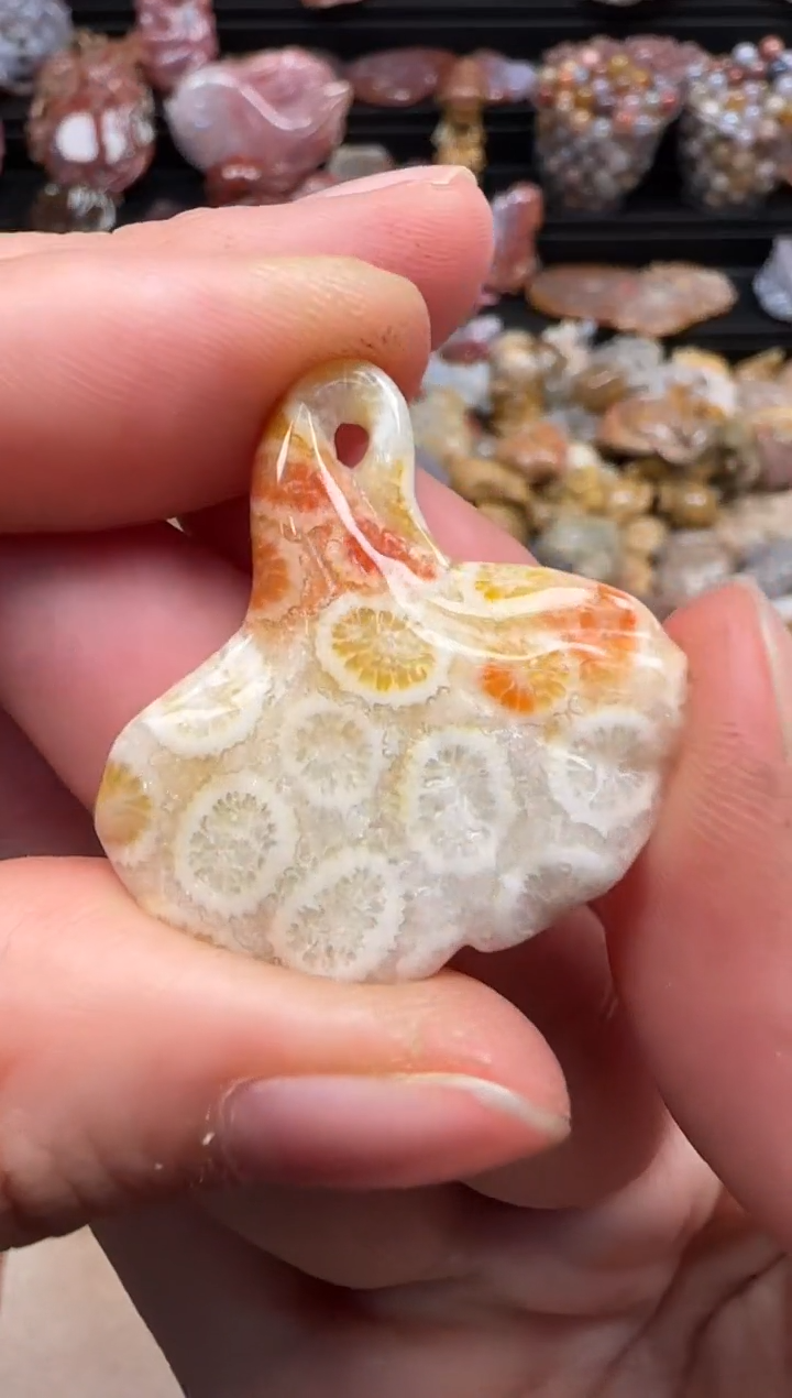 【闪购商品】硅化珊瑚（珊瑚玉）颈饰未镶嵌030