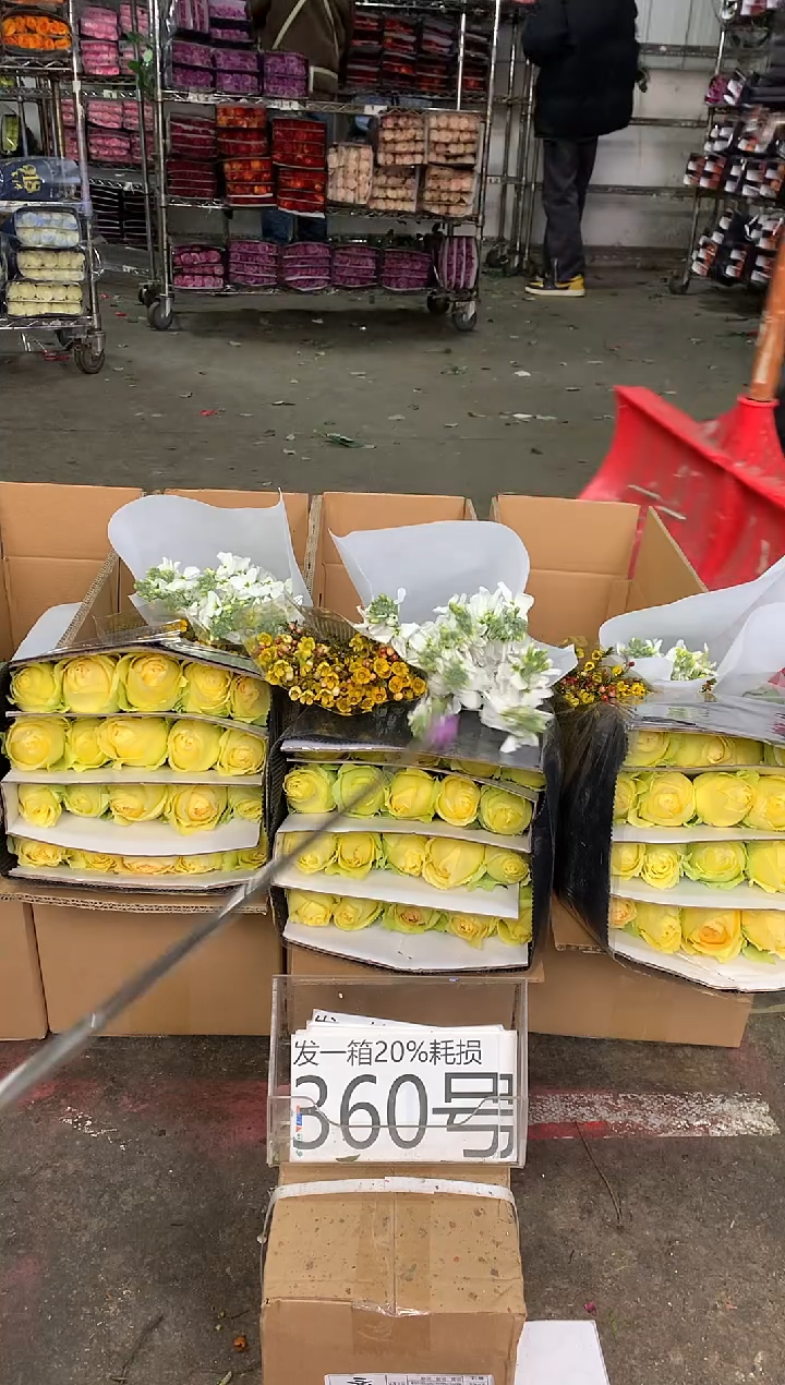 360号♥中通含20%耗损发一箱鲜花