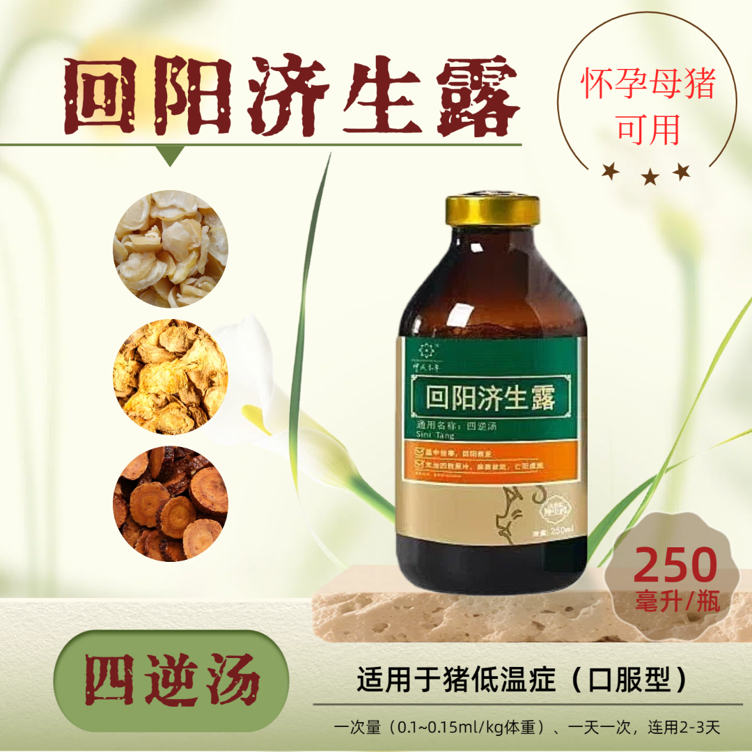 【四逆汤】猪低温专用
