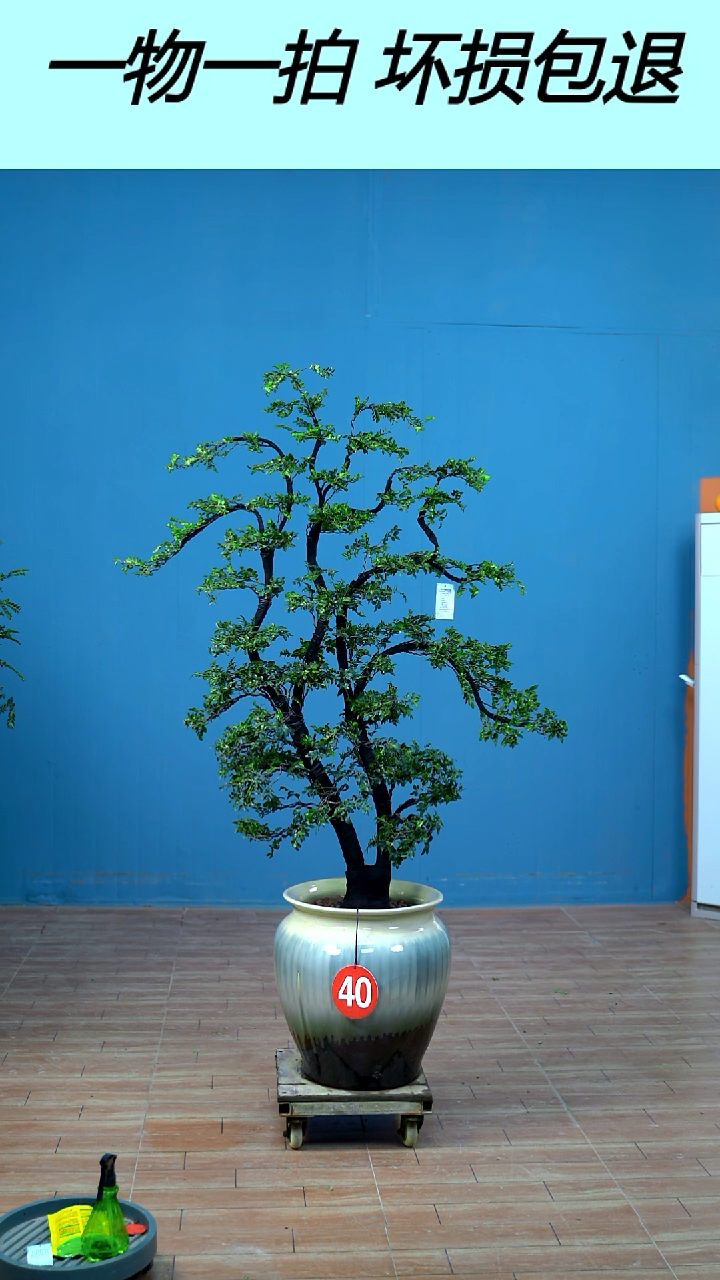 以实际为准东*广东小叶紫檀