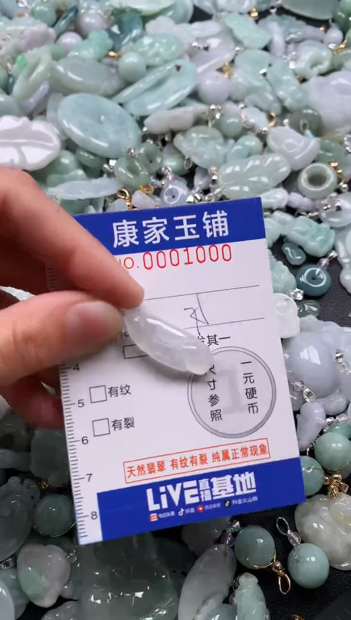 颈饰未镶嵌翡翠1000