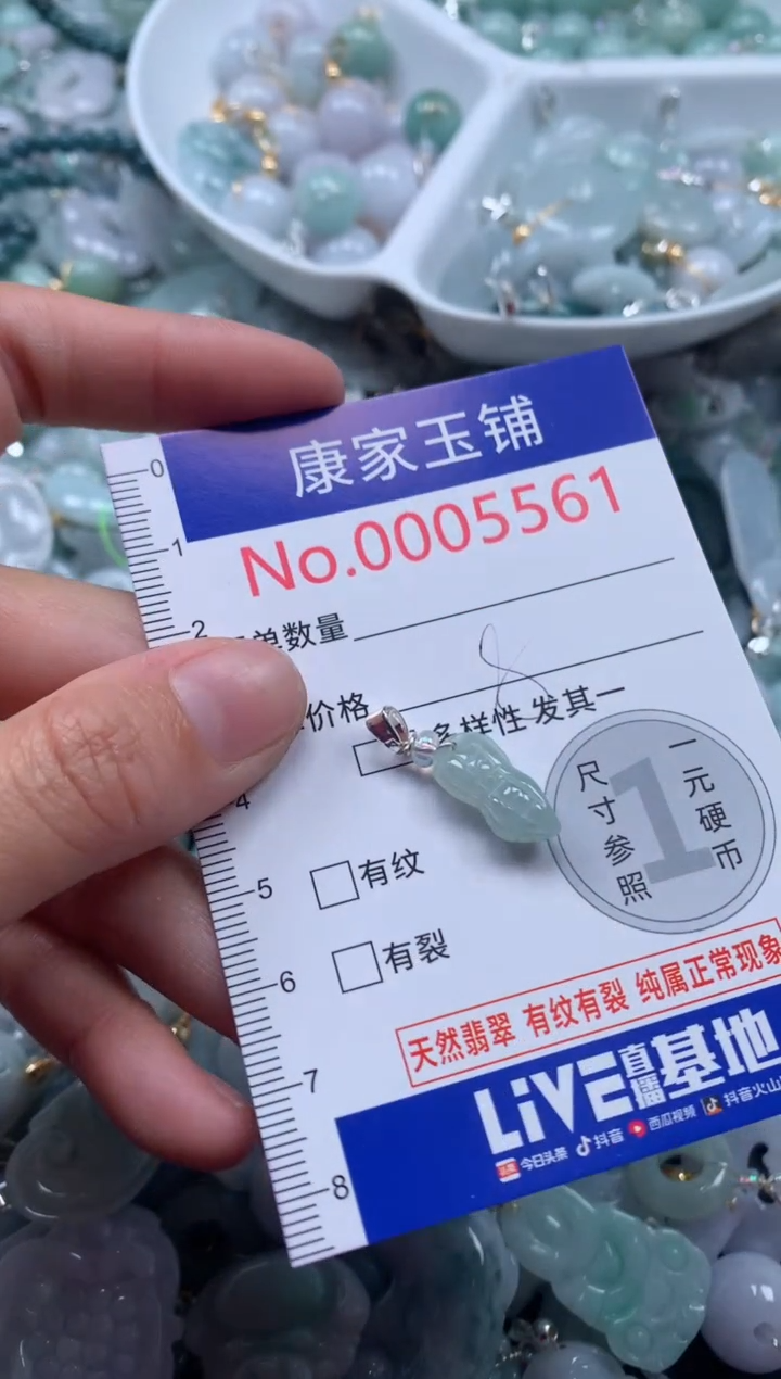 颈饰未镶嵌翡翠5561