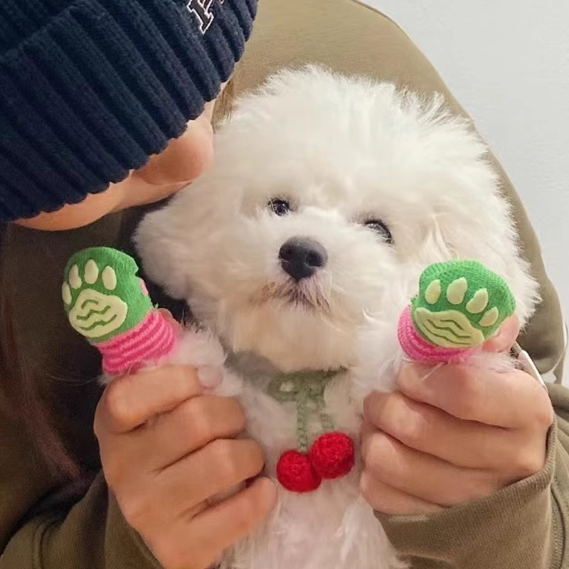 狗狗袜子防滑脚套不掉防脏防抓爪套泰迪比熊中小型犬宠物猫咪鞋子
