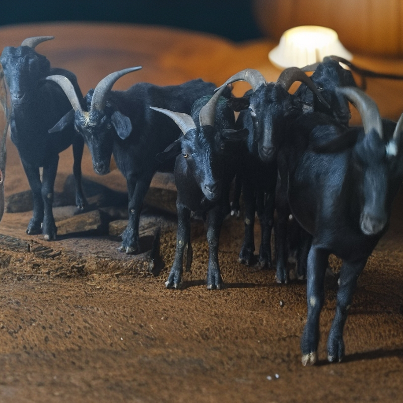 《现场称重一物一拍实物为准》正宗广西农家散养黑山羊新鲜现宰现杀