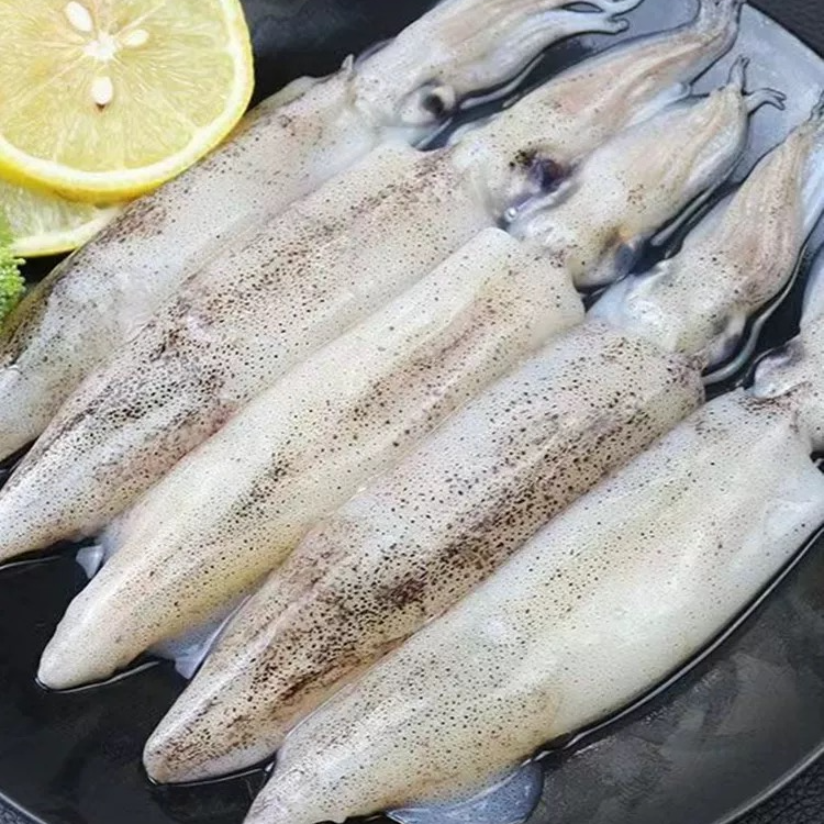 【母体笔管鱼】大连野生单冻笔管鱼籽乌海兔3斤装