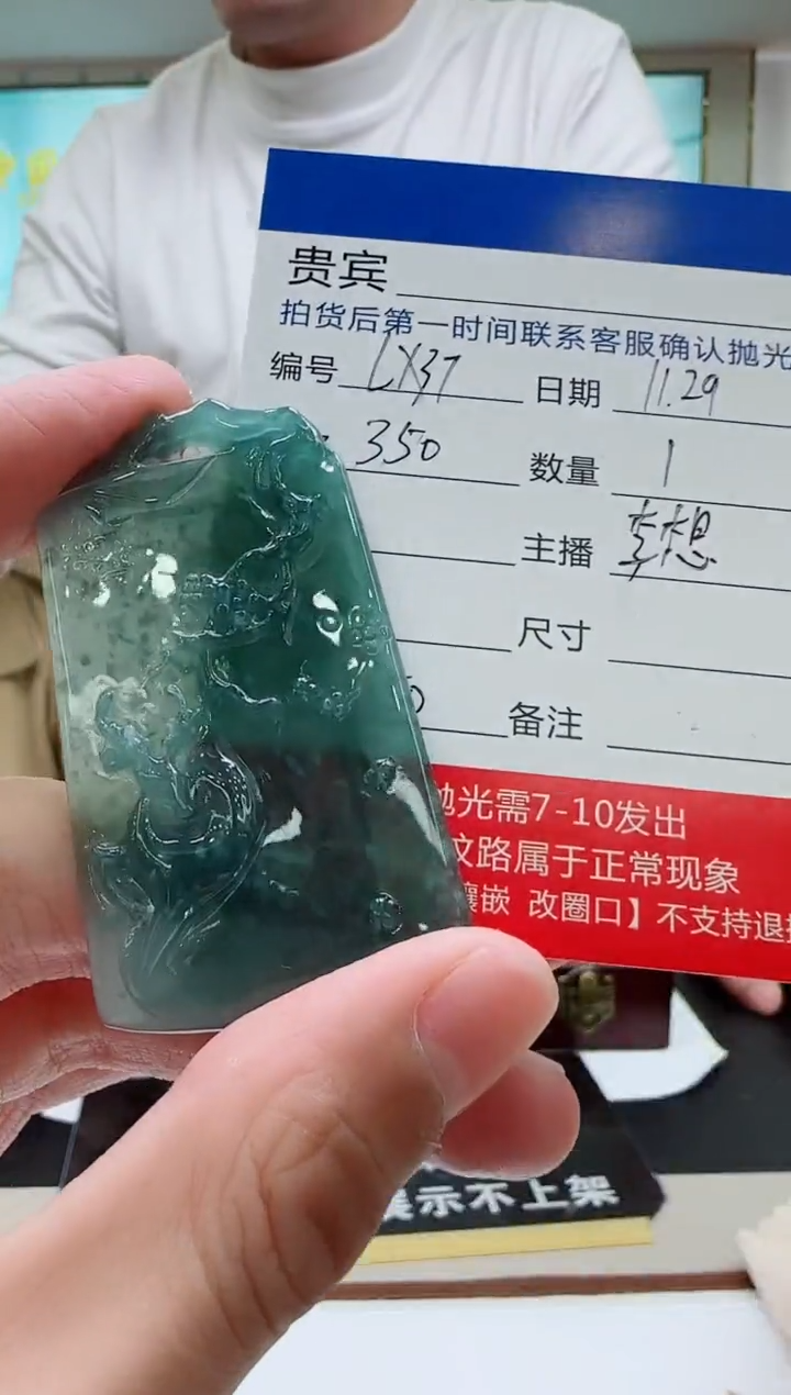 未镶嵌定制翡翠LX37翡翠吊坠-多样性发其一