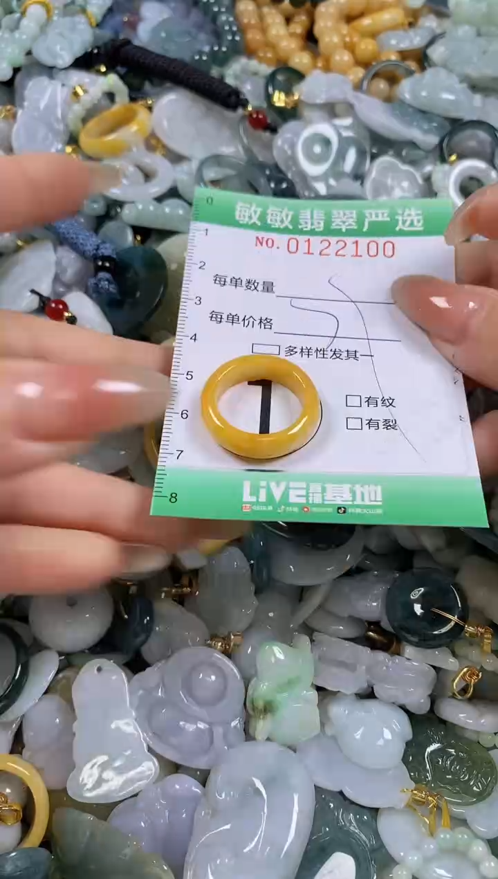 【闪购商品】翡翠颈饰未镶嵌闪购0122100