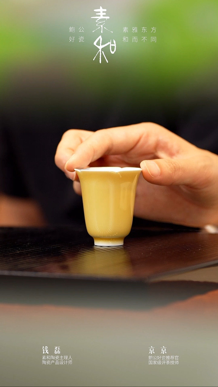 瓷素和颜色釉闪购商品25