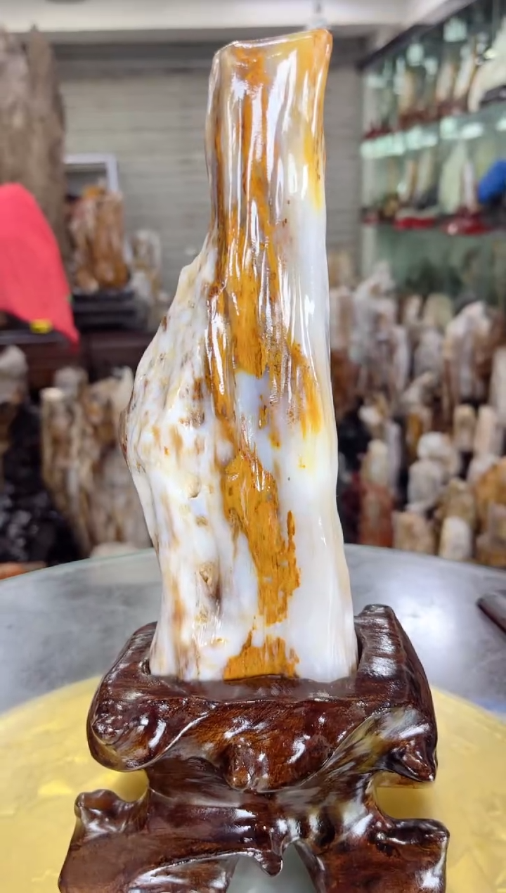 【闪购商品】硅化玉珠宝奇石未镶嵌缅甸天然树化玉