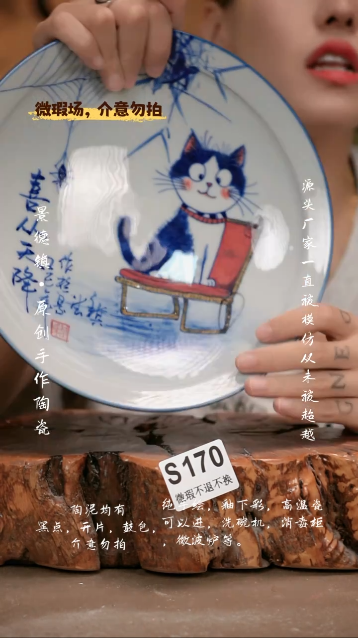 其他WS170新十二器