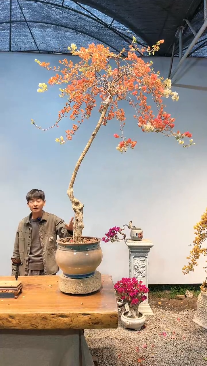 【闪购商品】AA922