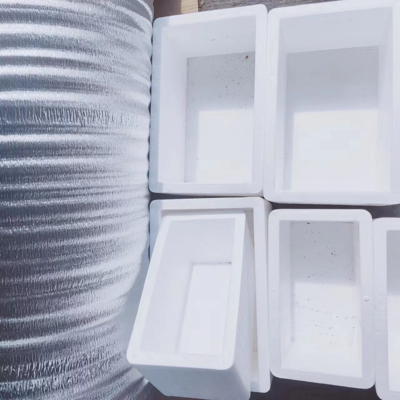 多肉植物植迷园艺零度以下地区必拍保温箱【每天的订单需要单独拍】