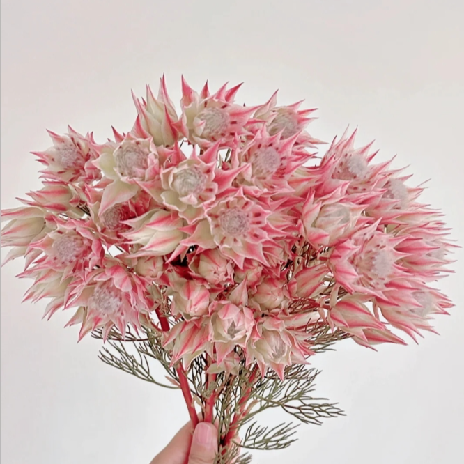 【一日不可无花专属】神仙颜值新娘花丨云南基地直发新鲜小众高级