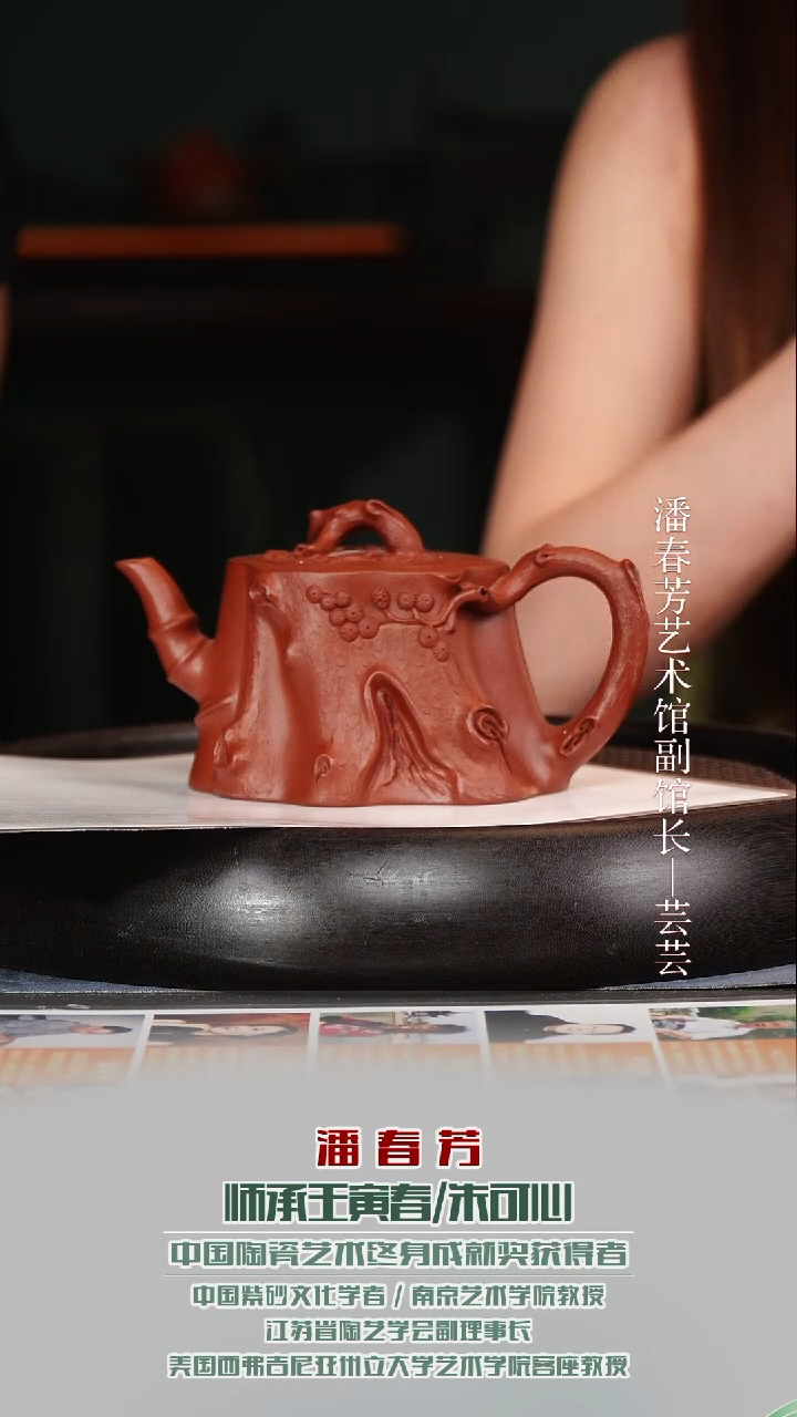 茶壶紫砂PCF50树桩大红袍340cc