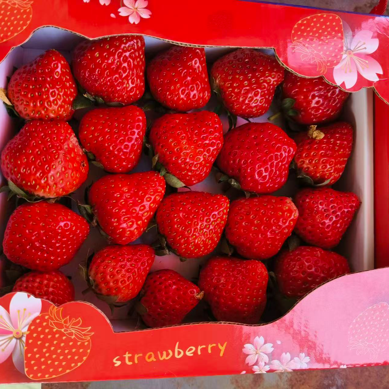 (次日达)红颜草莓大果买2送1斤基地直发顺丰包邮