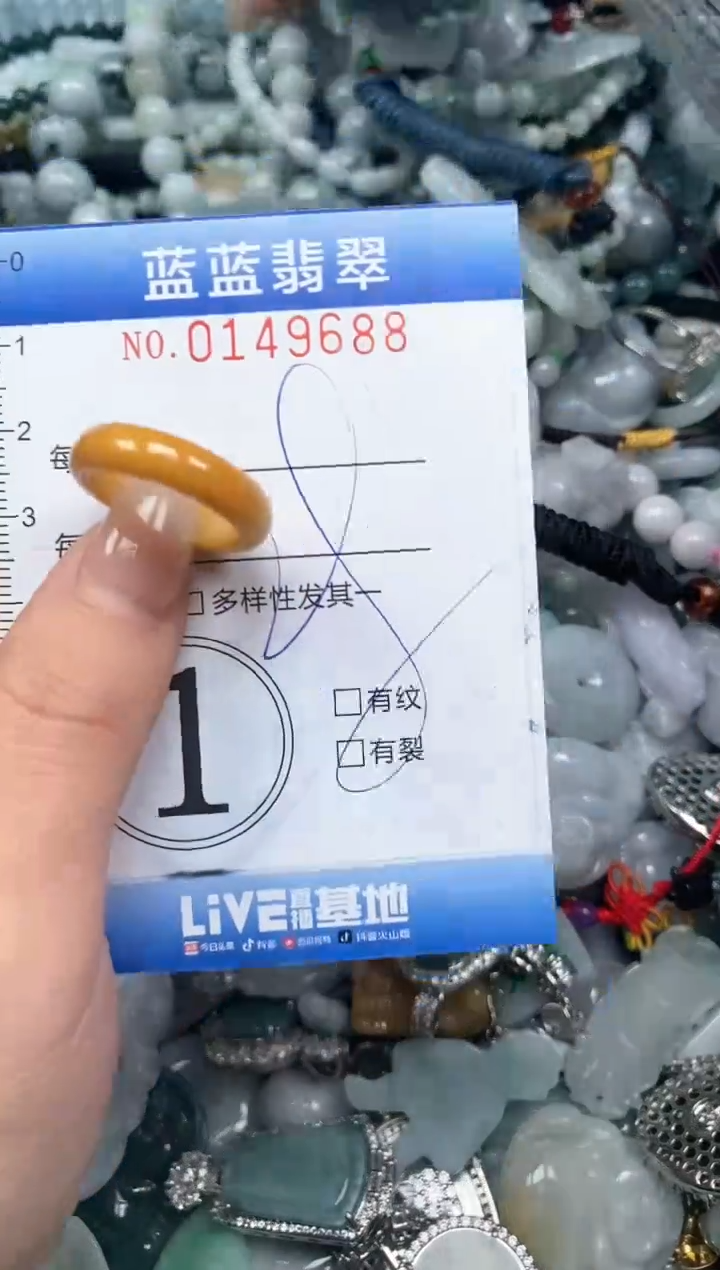 【闪购商品】翡翠颈饰未镶嵌闪购0149688