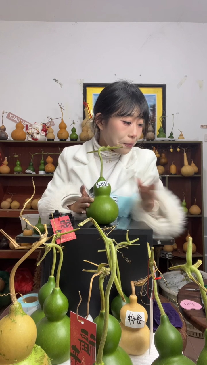 092天然葫芦摆件 一物一拍龙头不保售后