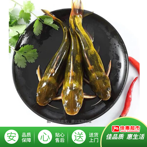 黄骨鱼/约500g份
