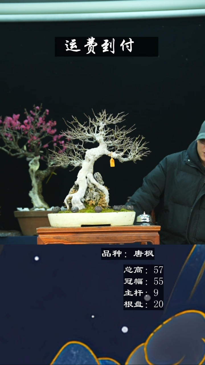 【闪购商品】无铅玻璃11562