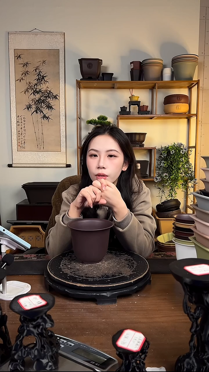 10只15口径金钟紫檀色