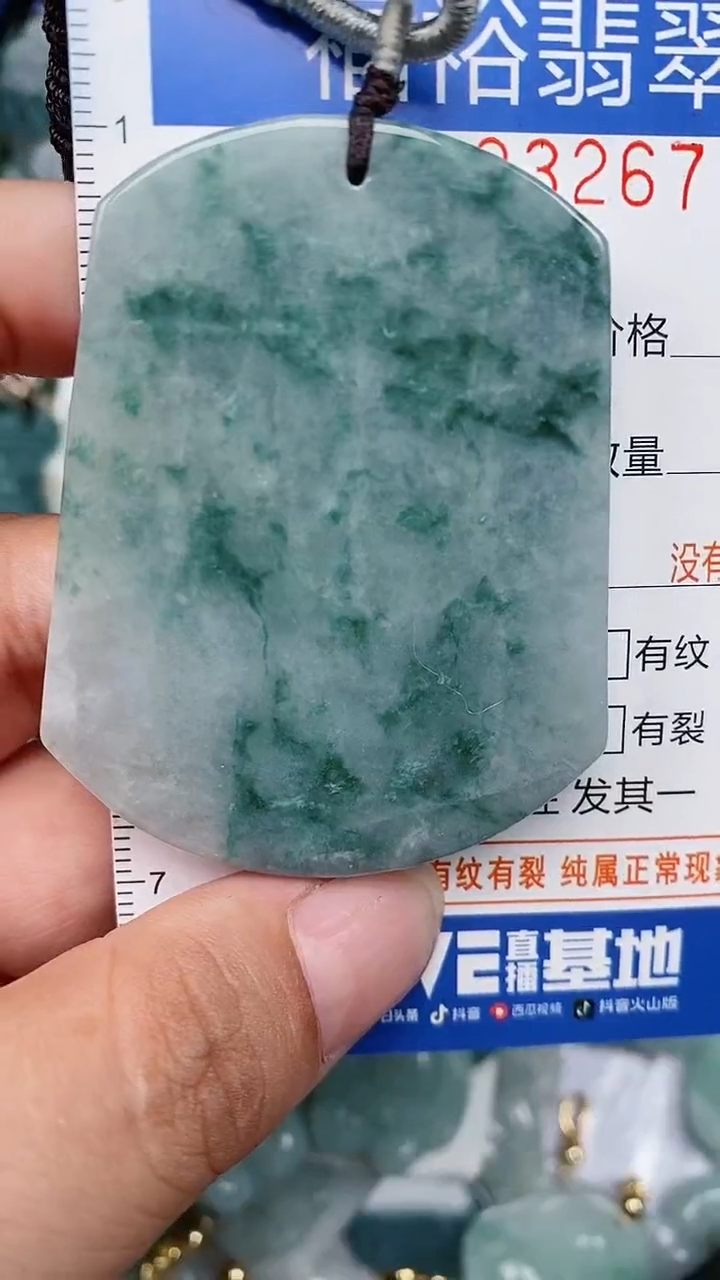 翡翠未镶嵌颈饰...0003267