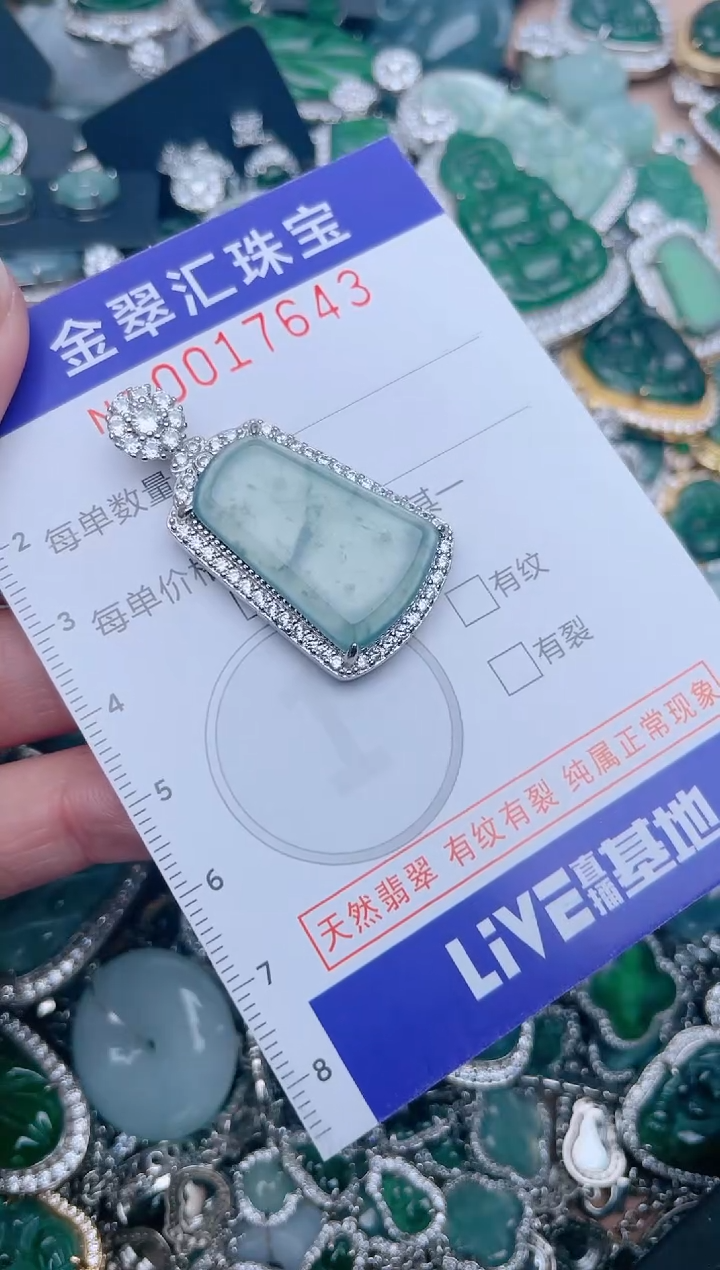 【闪购商品】翡翠颈饰未镶嵌17643........1