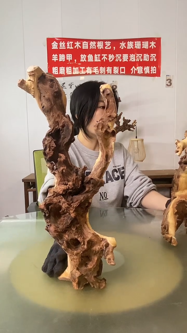 木廷**奶金丝红木 羊蹄甲