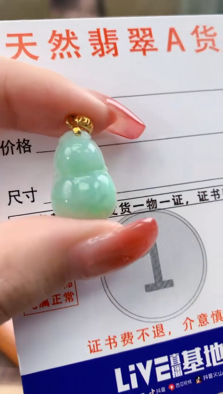 颈饰未镶嵌翡翠天然A货翡翠挂件