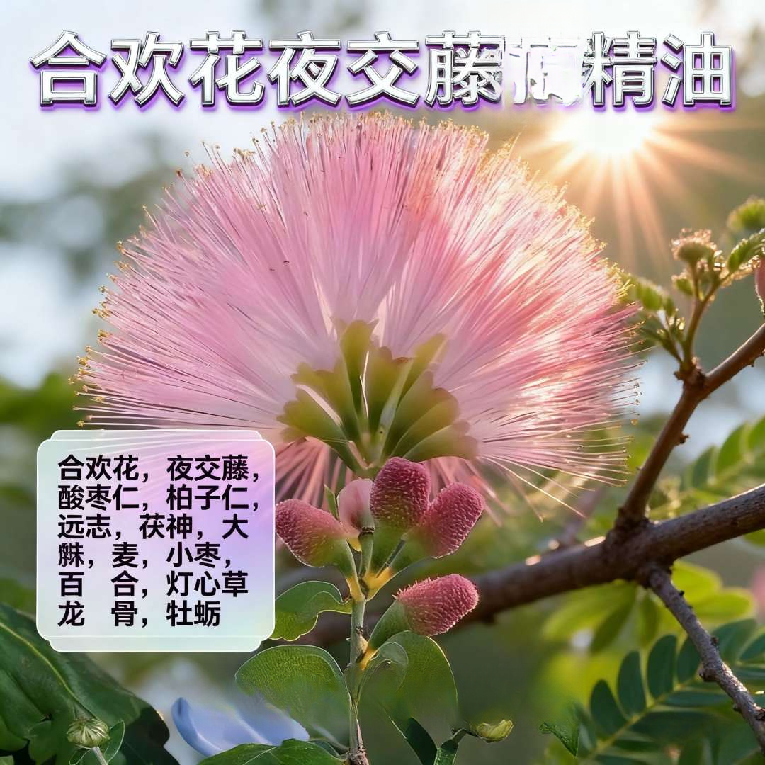 合欢花夜交藤合方精油   