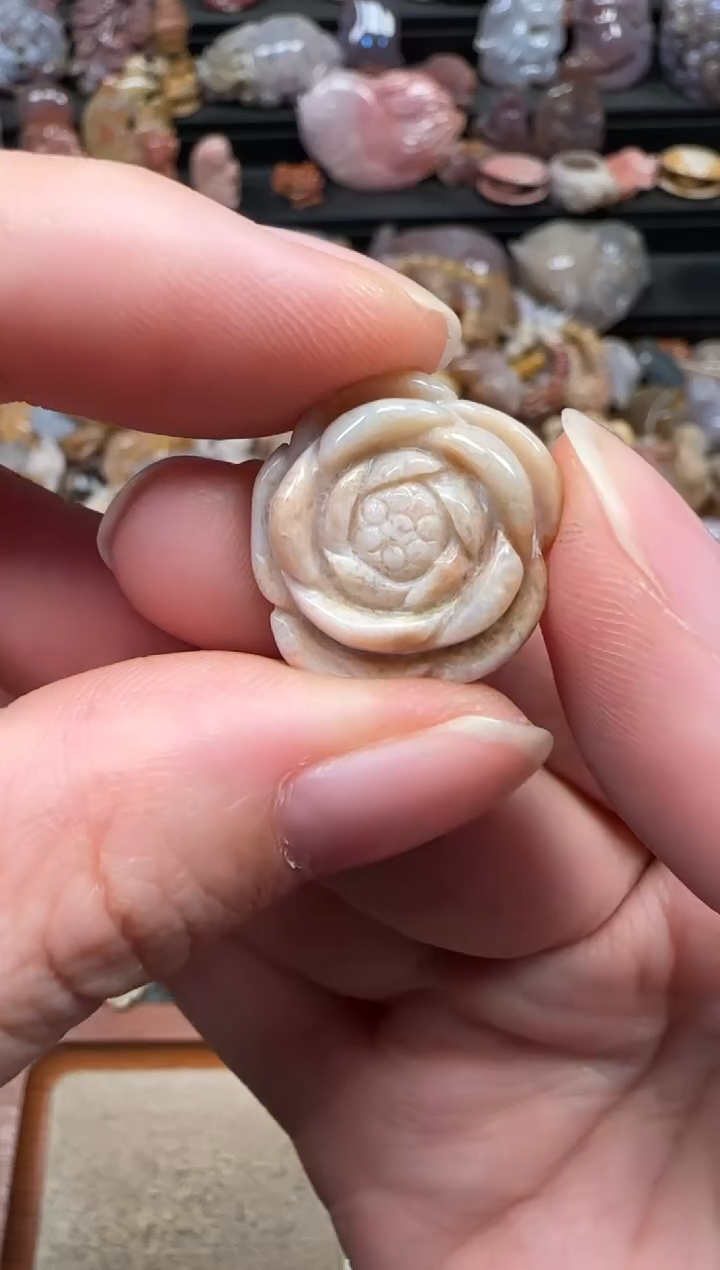 颈饰未镶嵌硅化珊瑚（珊瑚玉）542