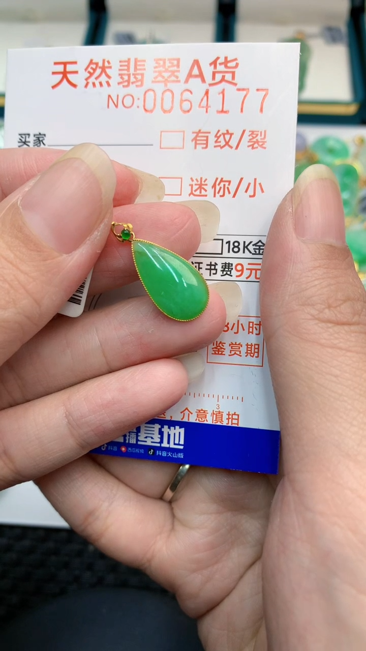【闪购商品】翡翠颈饰18K金镶嵌            8
